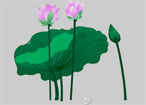 矢量水莲花flash动画